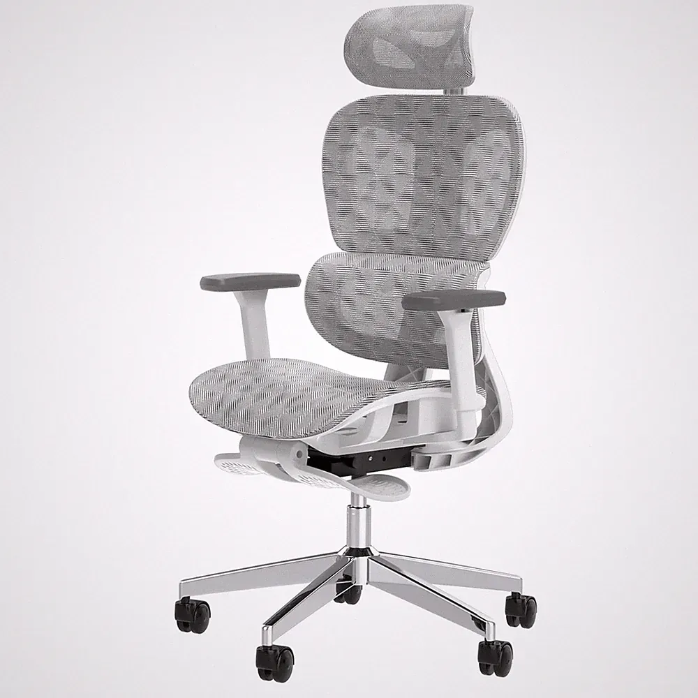 Ergonomic Office Chair, Big and Tall Desk Chair with Adjustable Lumbar Suppor...